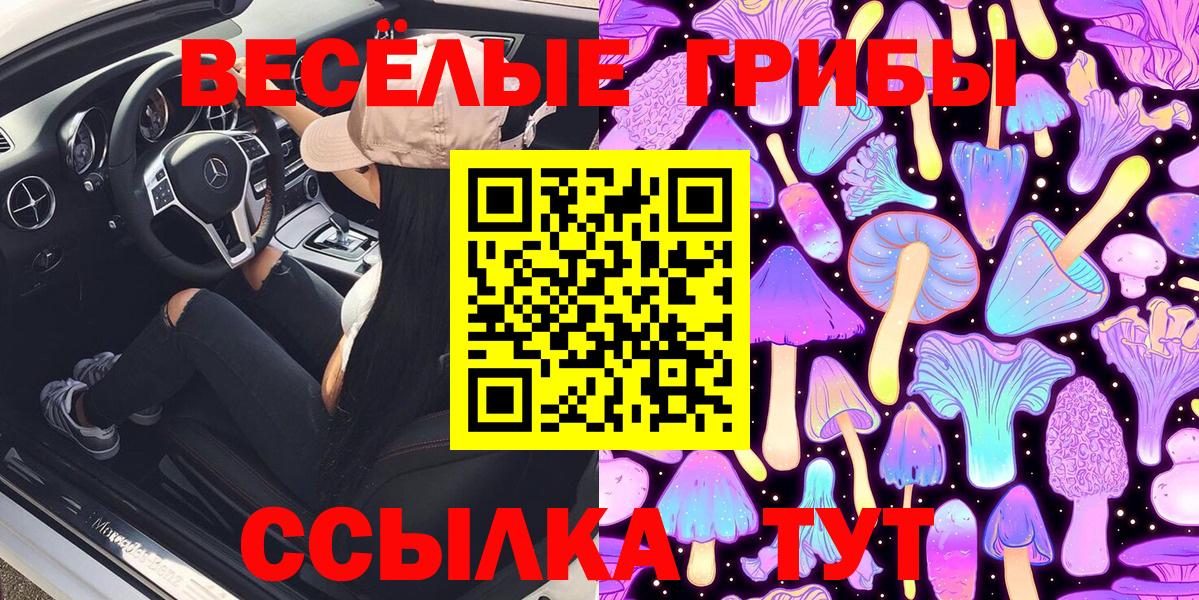Уссурийск  Галлюциногенные грибы MAGIC MUSHROOMS  наркошоп  Галлюциногенные грибы Psilocybe  Вход с VPN 